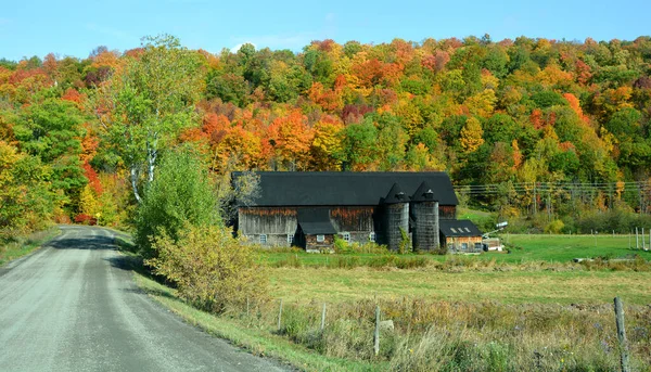Beautiful Autumn Forest Old House — Foto de Stock
