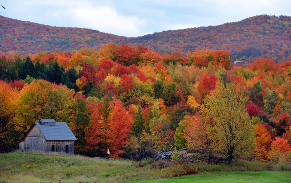 Beautiful Autumn Forest Old House — Stockfoto
