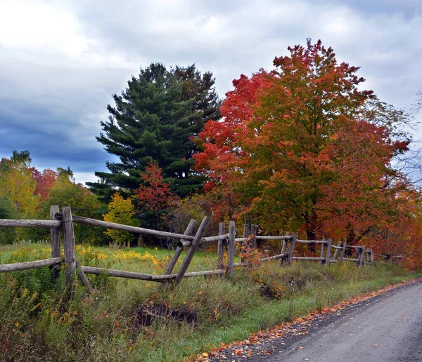 美しい秋の風景自然 — ストック写真