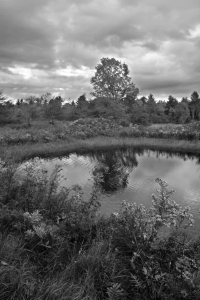 Krásná Podzimní Krajina Jezerem — Stock fotografie