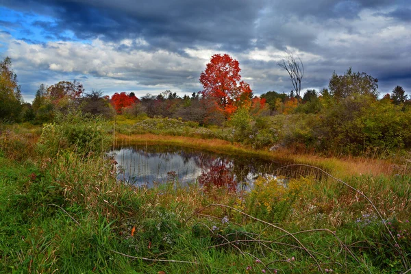 Lake Beautiful Autumn Season — стоковое фото