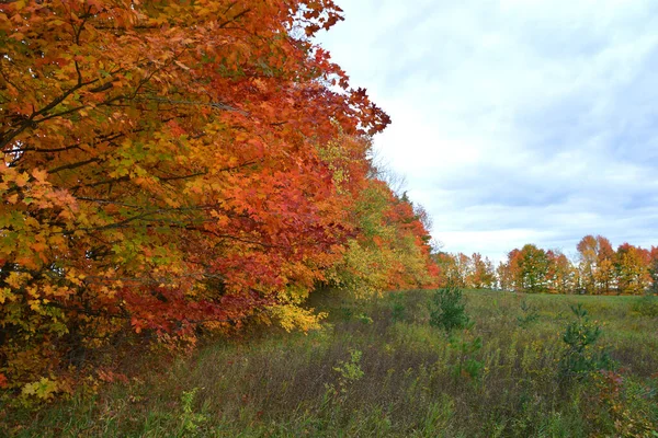 Beautiful Autumn Season Park — Stock Fotó