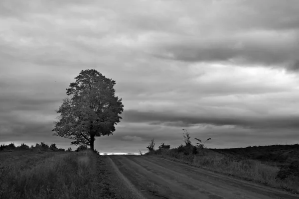 Beautiful Landscape Road Nature — Fotografia de Stock