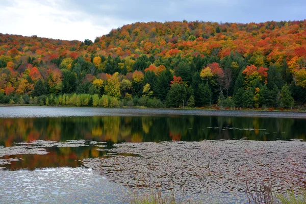 Красивый Осенний Пейзаж Озером — стоковое фото