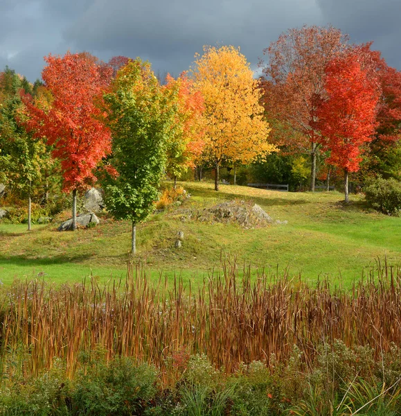 Beautiful Autumn Landscape Nature Travel — 스톡 사진
