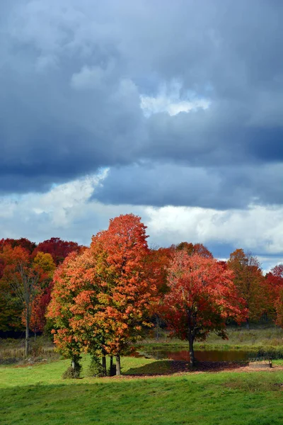 Scenic Autumn Landscape Nature — Zdjęcie stockowe