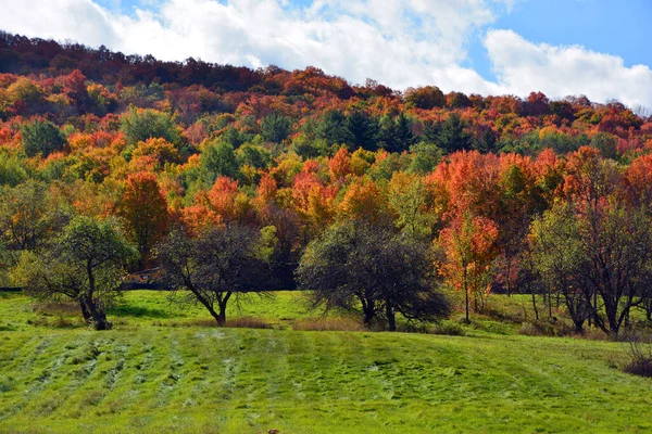 Beautiful Autumn Landscape Nature Travel —  Fotos de Stock