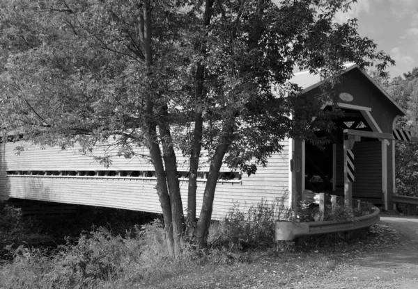 Wooden House Park Black White — Stock Fotó