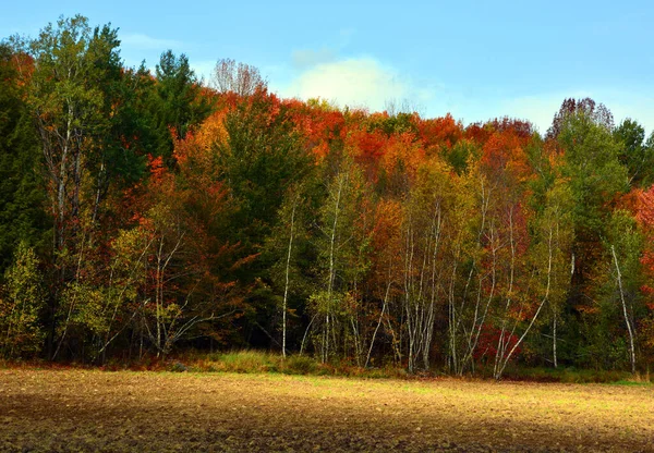 Beautiful Autumn Landscape Nature Travel —  Fotos de Stock