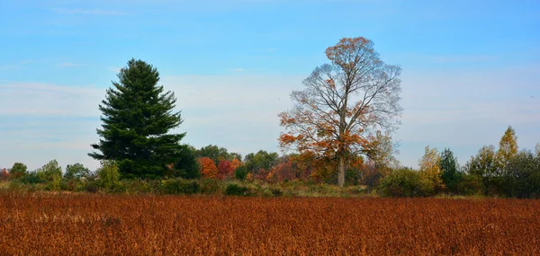 Beautiful Autumn Landscape Nature Travel Stock Photo