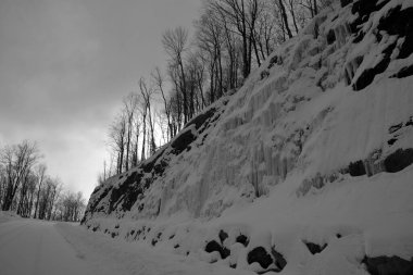 Kar ve ağaçlarla kaplı kış manzarası