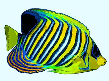 balık çizimi pop-art arkaplan 
