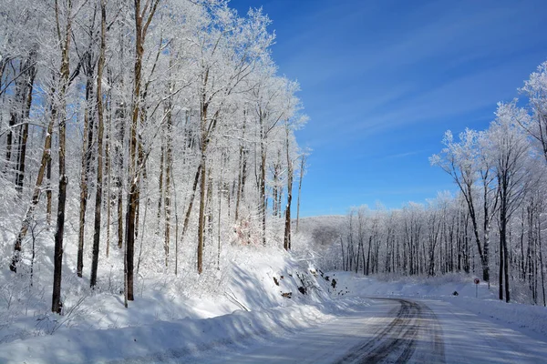 Paisagem Inverno Com Árvores Cobertas Neve — Fotografia de Stock