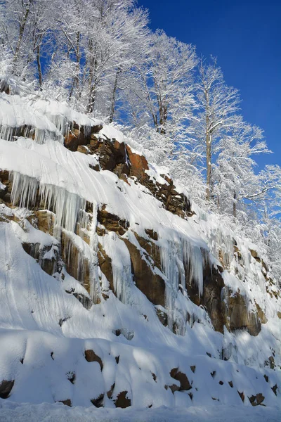 Bela Paisagem Com Árvores Cobertas Neve — Fotografia de Stock