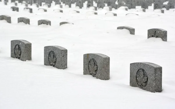 Montreal Canada 2021 Christmas Time Monument Notre Dame Des Neiges — Foto Stock