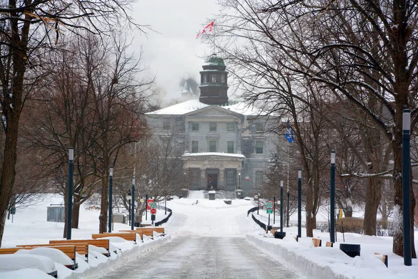 Montreal Quebec Canada 2021 Shot Montreal City Snow Blizzard Winter — Stockfoto