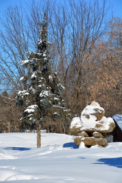 Paisaje Invernal Con Árboles Cubiertos Nieve — Foto de Stock