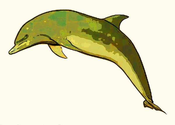 Dolphin Znamení Ilustrace Pop Art Pozadí Ikona Barevnými Skvrnami — Stock fotografie