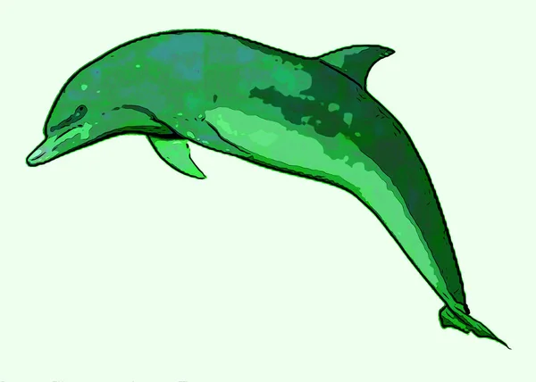 Dolphin Tecken Illustration Pop Art Bakgrund Ikon Med Färg Fläckar — Stockfoto