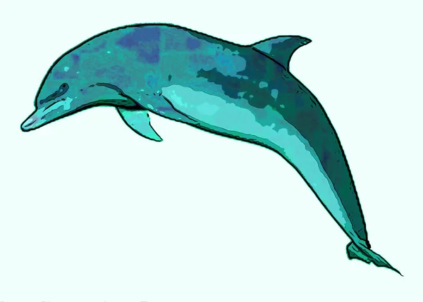 Delfin Znak Ilustracja Pop Art Tło Ikona Kolorowymi Plamami — Zdjęcie stockowe