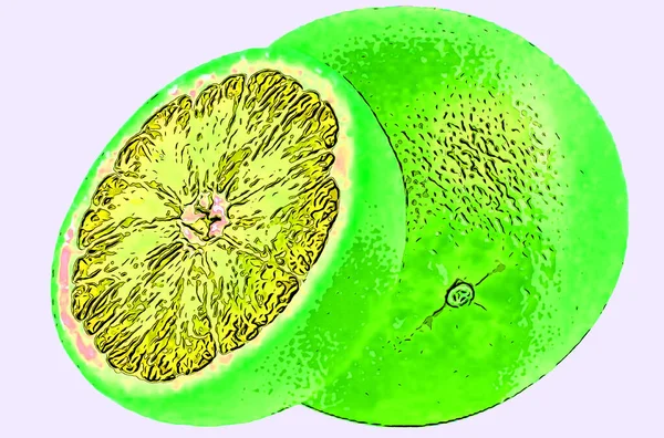 Grapefruit Zeichen Illustration Pop Art Hintergrund Symbol Mit Farbflecken — Stockfoto