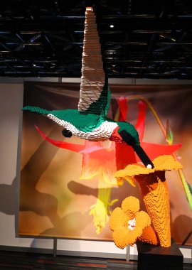MONTREAL QUEBEC CANADA 12 13 2021: Humming bird at the super powers of animals with more than 30 monumental creations composed of millions of LEGO bricks.