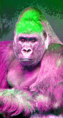 Renkli goril illüstrasyonu pop-art arkaplanı