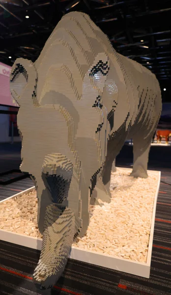 Montreal Quebec Canada 2021 Rhinoceros Super Powers Animals More Monumental — Stok Foto