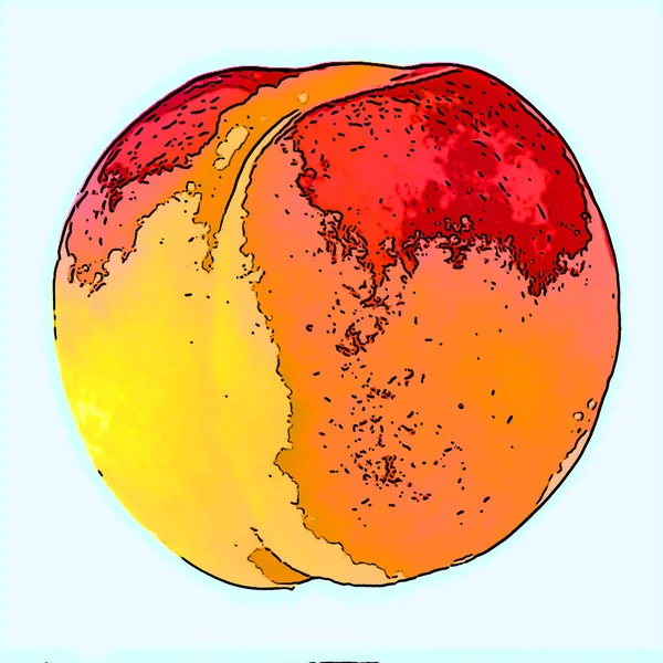 Apricot Illustration Pop Art Background Icon Color Spots — ストック写真