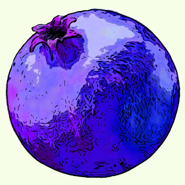 Pomegranate Illustration Pop Art Background — 图库照片