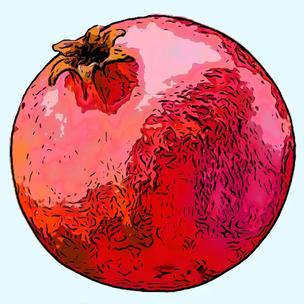 Pomegranate Illustration Pop Art Background — Stock Photo, Image
