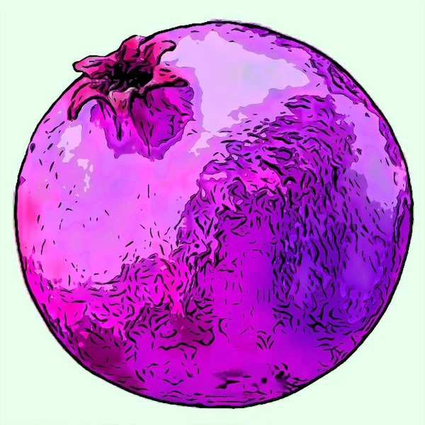 Pomegranate Illustration Pop Art Background — ストック写真