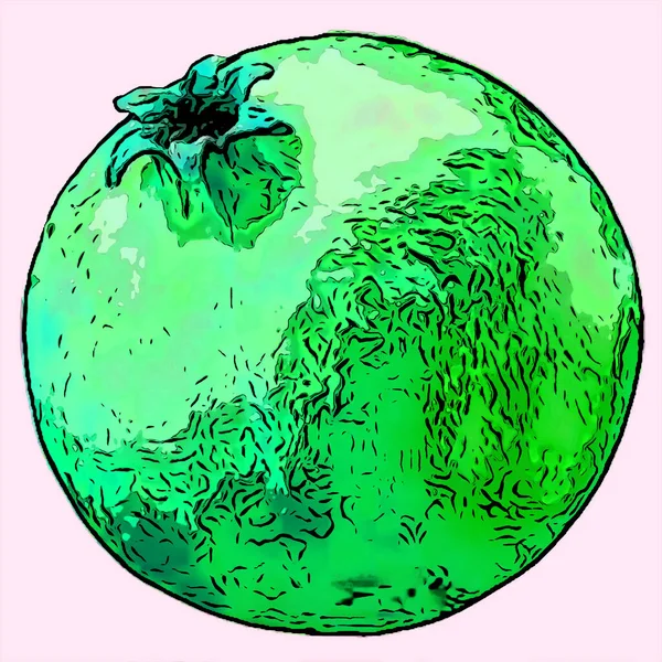 Pomegranate Illustration Pop Art Background — 스톡 사진