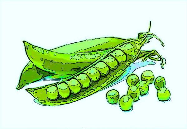 Peas Illustration Pop Art Background — 스톡 사진