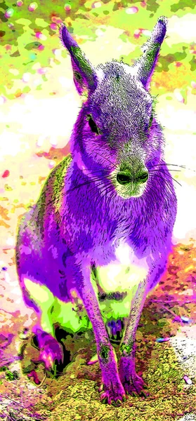 Capibara Illustration Pop Art Background Color Spots — ストック写真