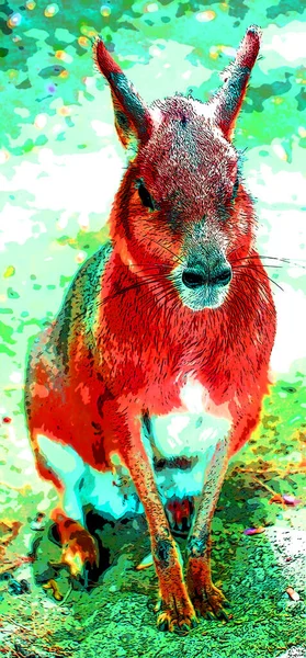 Capibara Illustration Pop Art Background Color Spots — ストック写真