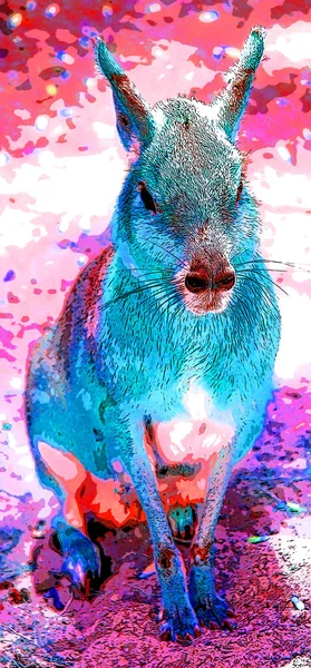 Capibara Illustration Pop Art Background Color Spots — Stok fotoğraf