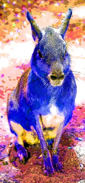 Capibara Illustration Pop Art Background Color Spots — ストック写真