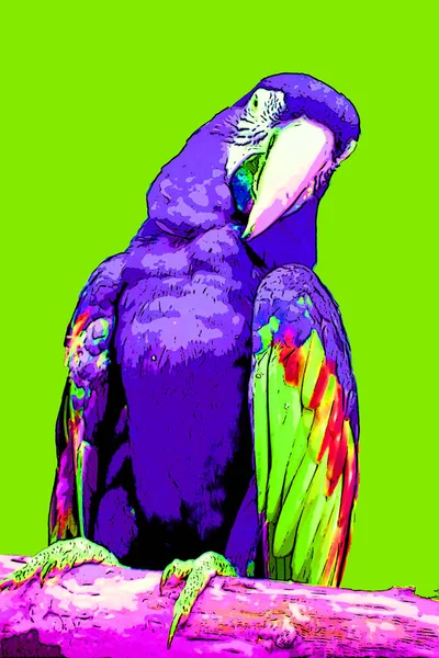 Parrot Illustration Pop Art Background Color Spots — Φωτογραφία Αρχείου