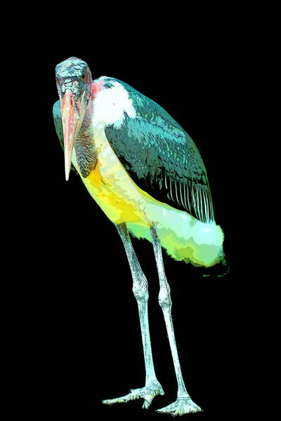 Pelican Illustration Pop Art Background Color Spots — Photo
