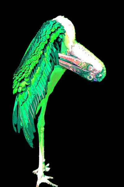 Pelikan Illüstrasyon Renk Lekeli Pop Art Arkaplan — Stok fotoğraf