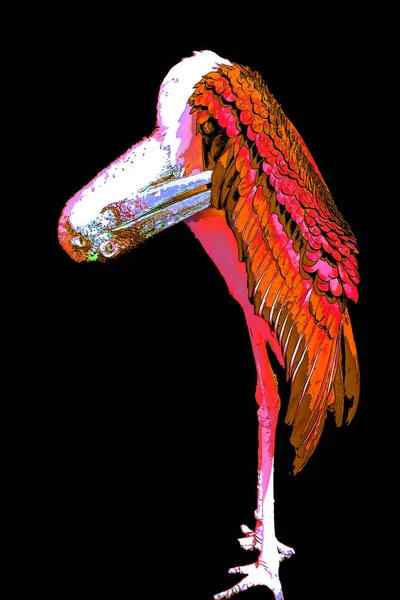 Pelican Illustration Pop Art Background Color Spots — Stock fotografie