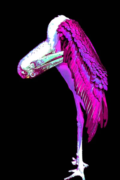 Pelican Illustration Pop Art Background Color Spots — Photo