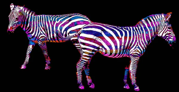 Zebras Illustration Pop Art Background Color Spots — Photo