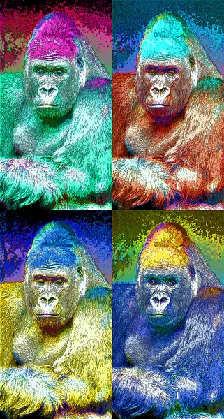 Gorilla Illustration Pop Art Background Color Spots — Stockfoto