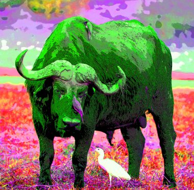 bizon illüstrasyonu renk lekeli pop-art arkaplan