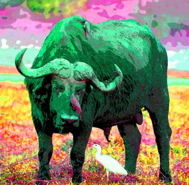 bizon illüstrasyonu renk lekeli pop-art arkaplan