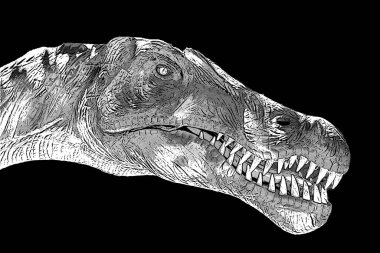  dinosaur that lived in what is now North America sign illustration pop-art background icon 