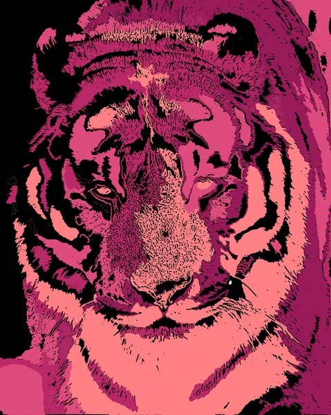 Tigris Illusztráció Pop Art Háttér Színes Foltok — Stock Fotó