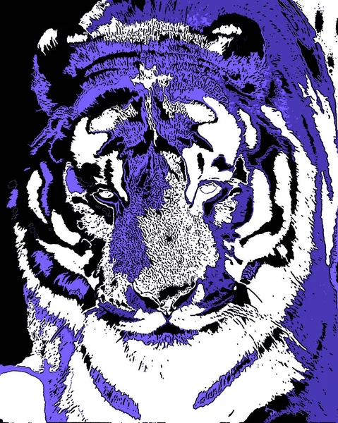 Tiger Illustration Pop Art Background Color Spots — Stockfoto